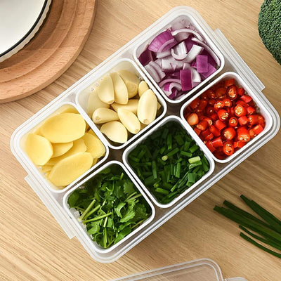 6-Grids Useful Refrigerator Food Fresh-keeping Storage Box, Ginger Garlic Separate Plate for Fridge Durable