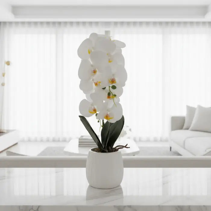 White orchid in bright living space artificial flower with pot buy plants Homesouq Qatar