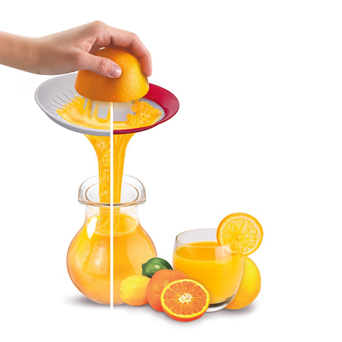 Durable citrus press designed as practical lemon squeezers for fresh drinks Homesouq Qatar