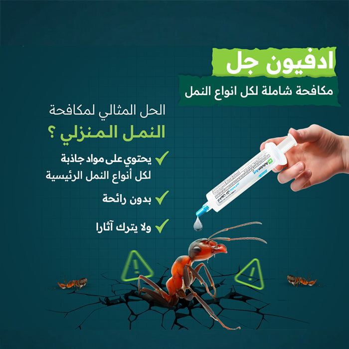 Advion gel applied to ants showing effective ant bait action and infestation control Qatar