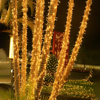 Warm LED string lights with 8 lighting modes, perfect for indoor and outdoor decoration