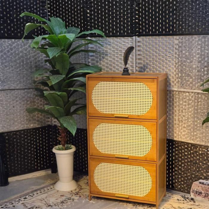 Wooden shoe rack with closed door shoe cabinet for entryway home Qatar