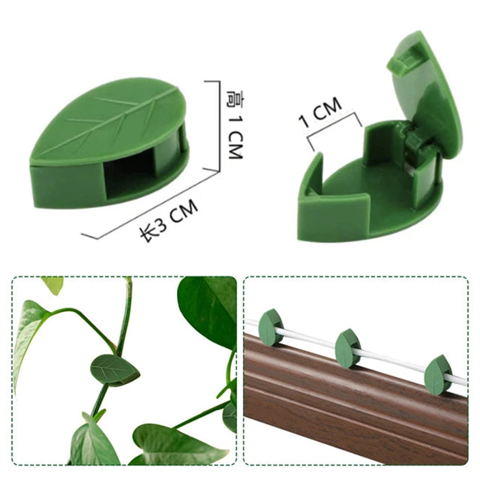 Plant Climbing Wall Fixture Clips, Self-Adhesive Invisible Support Hook for Wiring dimensions
