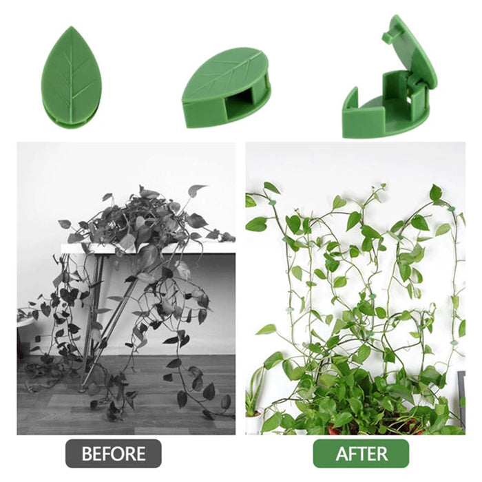 Plant Climbing Wall Fixture Clips, Self-Adhesive Invisible Support Hook for Wiring transformation