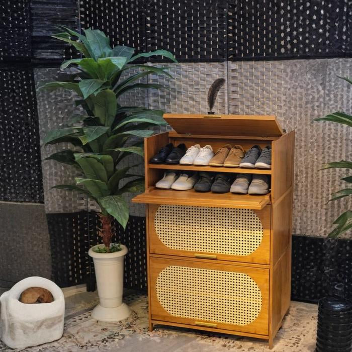 Closed door shoe cabinet storing multiple pairs neatly inside Qatar