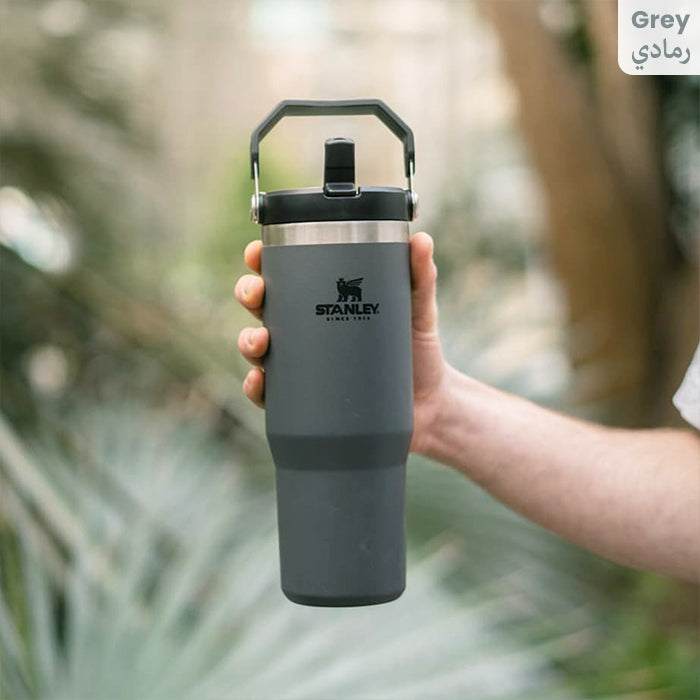 Stanley IceFlow Flip Straw Tumbler with Handle 30 oz | Twist On Lid and Flip Up Straw Grey