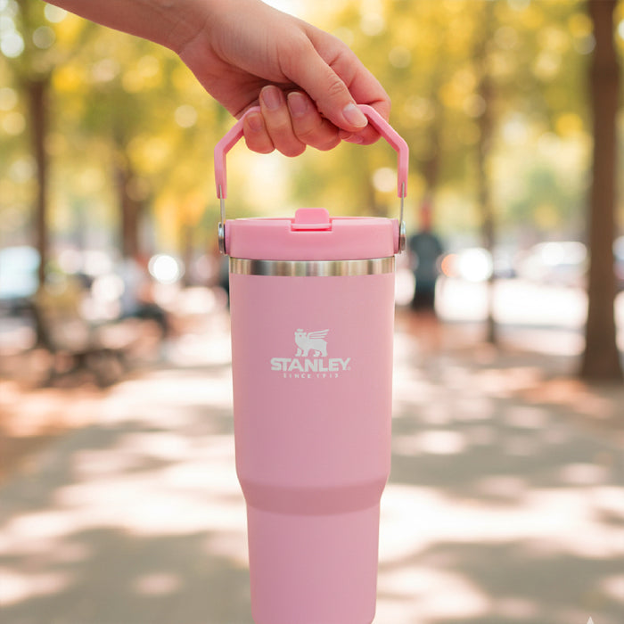 Stanley IceFlow Flip Straw Tumbler with Handle 30 oz | Twist On Lid and Flip Up Straw Travel friendly