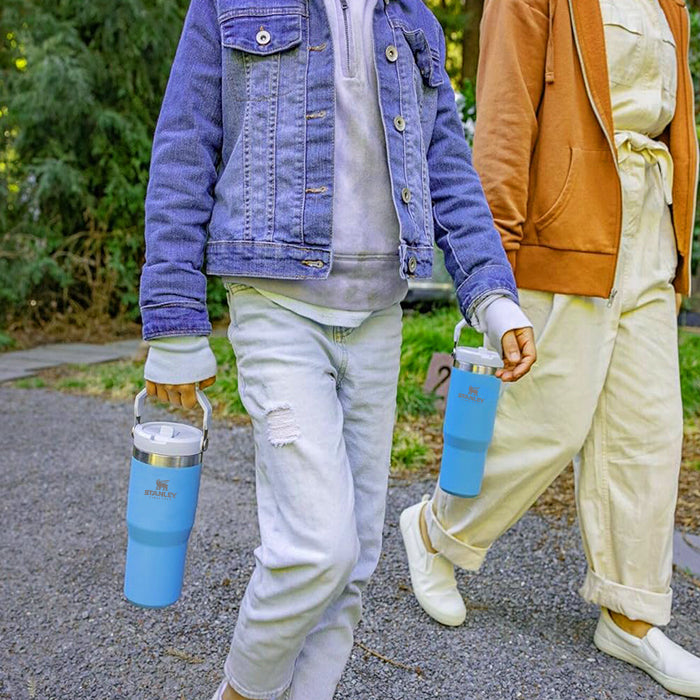 Stanley IceFlow Flip Straw Tumbler with Handle 30 oz | Twist On Lid and Flip Up Straw easy to carry