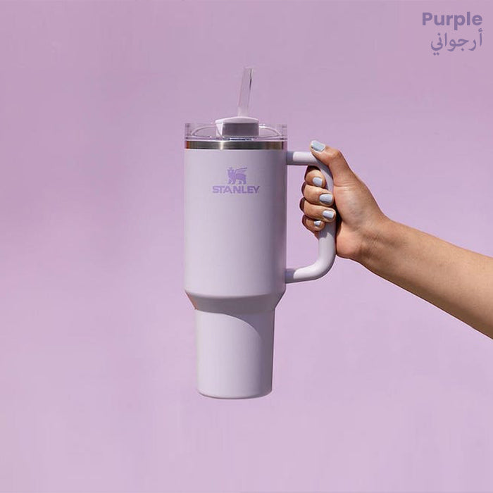 Vacuum Insulated Tumbler with Lid and Straw for Water, Iced Tea or Coffee, Smoothie purple