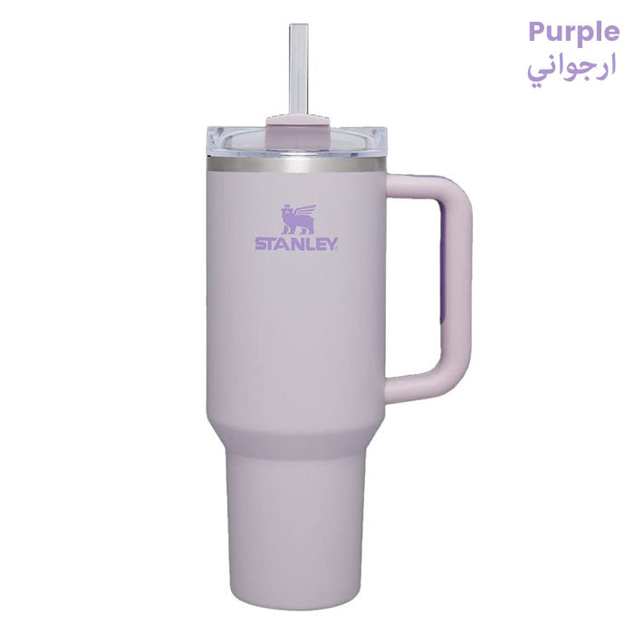 Vacuum Insulated Tumbler with Lid and Straw for Water, Iced Tea or Coffee, Smoothie purple