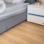 360° 2in1 Flat Mop - Self-Wash And Squeeze Dry Flat Mop With Bucket 2 Mop Pads