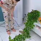 Plant Climbing Wall Fixture Clips, Self-Adhesive Invisible Support Hook for Wiring