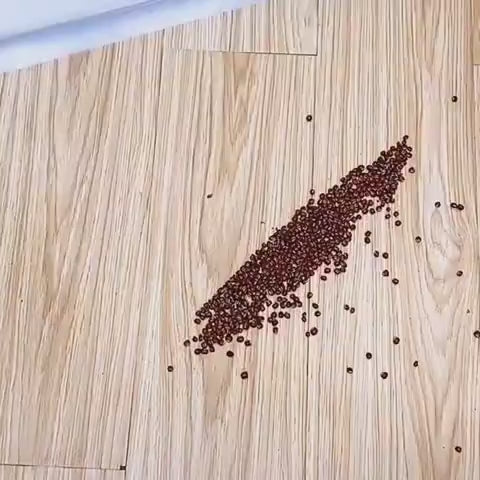 Door Sealing Tape, Insectproof, Windproof, Soundproof, Dustproof Door Window Seal Strip flexible and enduring