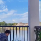 Home Decor Expandable Grass Fence Plastic Artificial Wall Hedge Balcony for plants